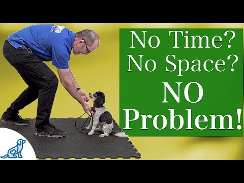 Video: Hoppa igång din träningsplan med en ny hundaktivitet!