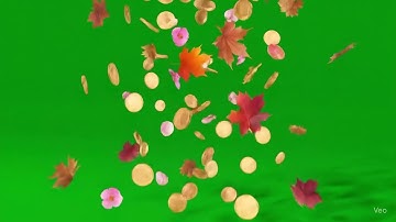 Falling Objects Green Screen | Coins, Petals & Leaves | Free 1080p Chroma Key Video