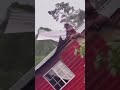 Hurricane Beryl vs Gilbert’s wife. #hurricaneberyl #jamaica #like #thinkpoetry