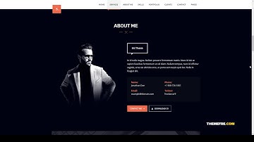 Selfer Minimal Personal Portfolio WordPress Theme