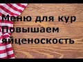 Как правильно кормить кур. Повышаем яйценоскость. Лучший корм для кур