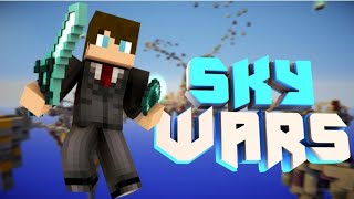 Minecraft skywars @Technoblade