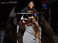 #tiktok #trollface Dog Fight