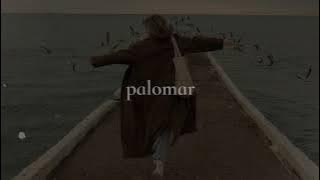 memoir #2 - mayroosevelt (slowed) 1 hour