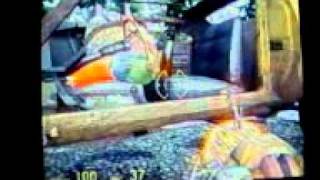 Half Life 2 the evil gnome