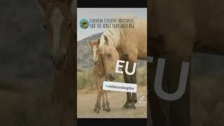 Sign To Ban Horse Slaughter In Europe Sbit.lyethsa