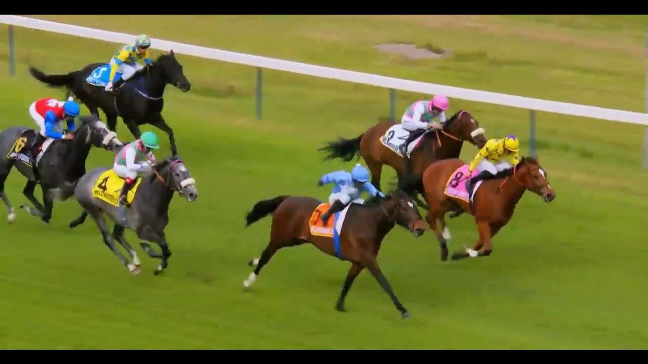 WINCHESTER MANSION race 7 kenilworth 30 October 2022 YouTube