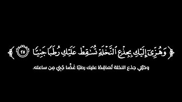 كروما شاشة سوداء قرآن كريم 🌿تلاوة من سورة مريم 🌿القارئ محمد الوهيبي 🌿