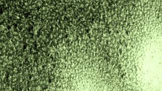 MARS TOP SECRET SOUTH POLE