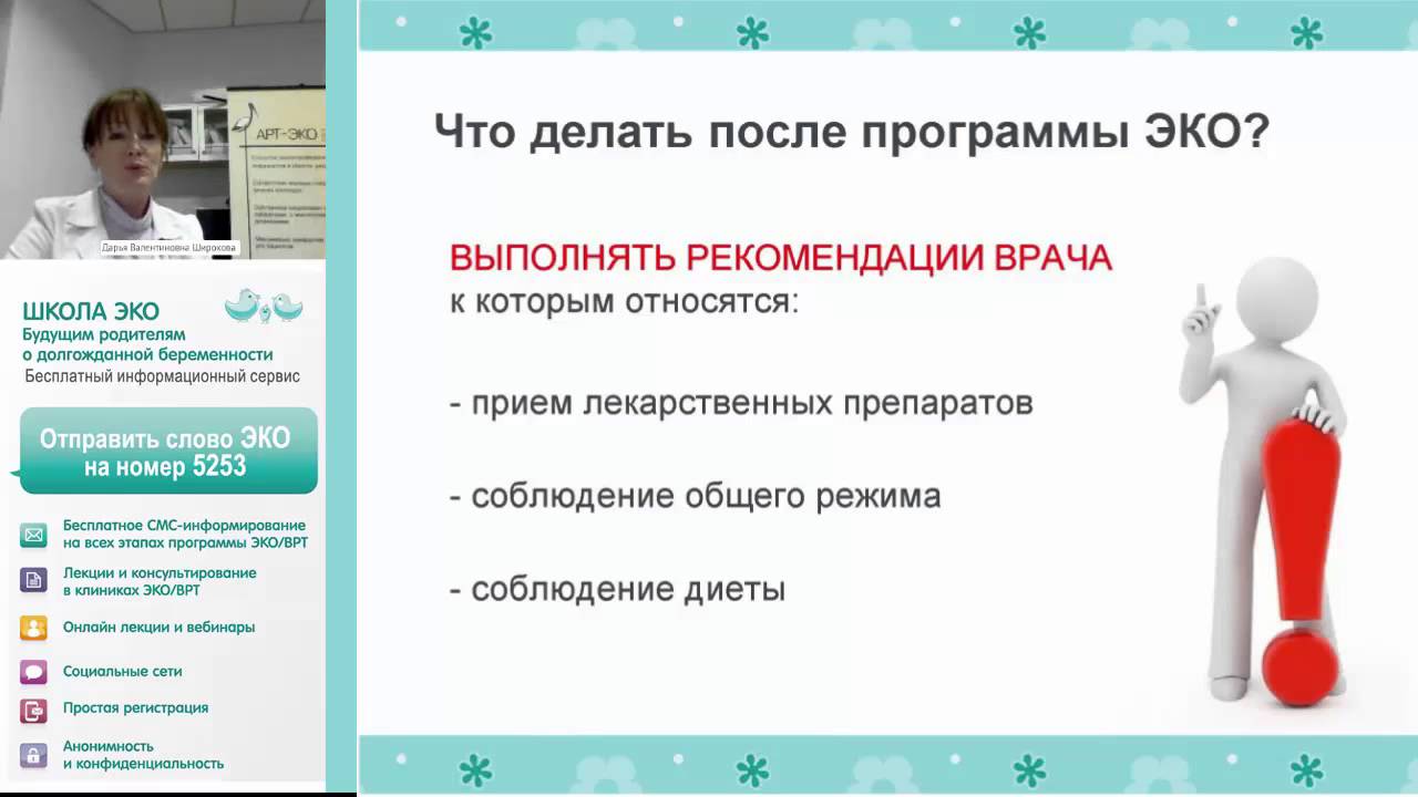 План после школы. Программа эко. Клинические рекомендации ведение беременности после программы эко. Эко вебинар. Прием врача в эко клинике.