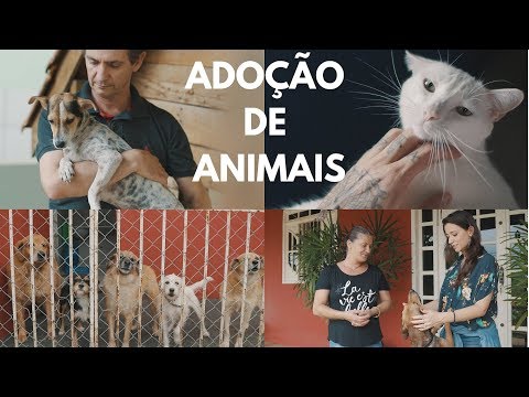 ADOPTION OF ANIMALS