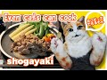 Simple and Easy Japanese Dinner shogayaki