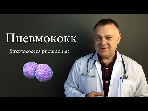 Video: Streptococcus Pneumoniae Virulences Salīdzinājums ICR Trīs Dažādu Izcelsmju Peļu Krājumos