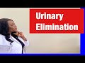 NCLEX Practice for Urinary Elimination