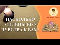 НАСКОЛЬКО СИЛЬНЫ ЕГО ЧУВСТВА К ВАМ! РАСКЛАД НА ЧУВСТВА ОТНОШЕНИЯ