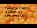 Коротко о планах на завтра и о прошлом видео.