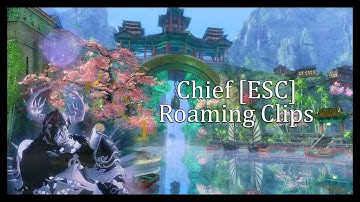 GW2 WVW vindicator/Willbender duels/roaming clip dump