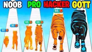 Die BESTE ENTWICKLUNG als TIGER KATZE! (Cat Evolution)