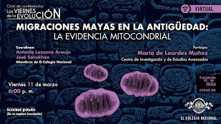 Migraciones mayas en la antigüedad: la evidencia mitocondrial