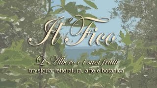 Il Fico, l'albero e i suoi frutti - Sanremo Bordighera 22/23 maggio 2015