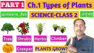 Part 1|Types of plants for grade 2 | Science class 2 chapter 1|onlinegyanyashwant