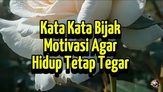 KATA KATA BIJAK MOTIVASI AGAR HIDUP TETAP TEGAR 