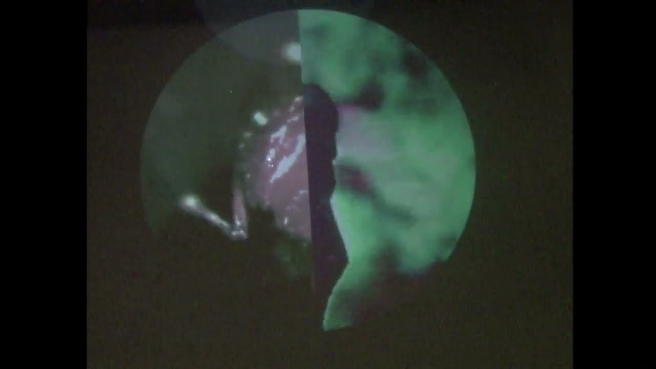 Watch projection mapping tutorial with grant bouvier (resolume) on YouTube Watch projection mapping tutorial with grant bouvier (resolume) on YouTube