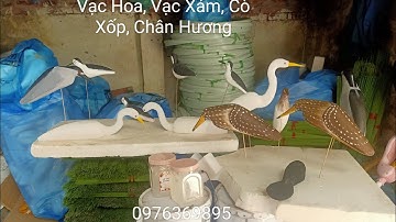 Vạc Hoa, Vạc Xám, Keo Bẫy Cò Vạc, Cò Xốp, Chân Hương, Cò Mã, Nan Cáp Quang