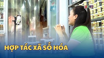 Hợp tác xã số hóa | THLC