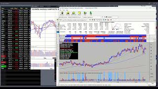 Webinar recording - 19 Feb 2026
