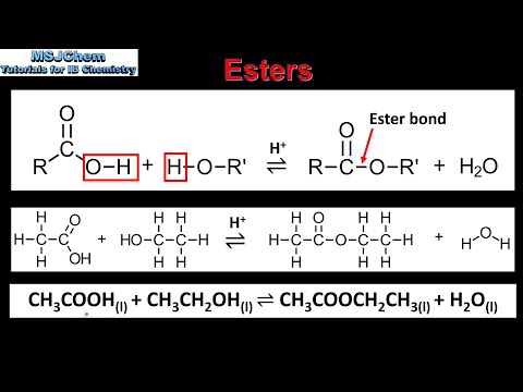 10.2 Esters (SL)