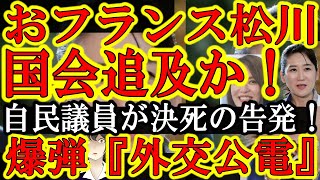 【まさかの自民党内部からの告発！エッフェル松川進退窮まったぁ！『松川るいよ「外交公電」について説明しろぉ！』】松川が超重要外交ツール『外交公電』を私的行動の為に利用の可能性！今すぐ自民党から出ていけ！