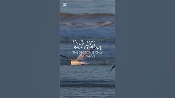 #اكتب_شي_تؤجر_عليه💚✅#الحمدلله #سبحان_الله #الله #لاإله_الاالله #quran#تلاوة_خاشعة#قرآن_كريم#قرآن
