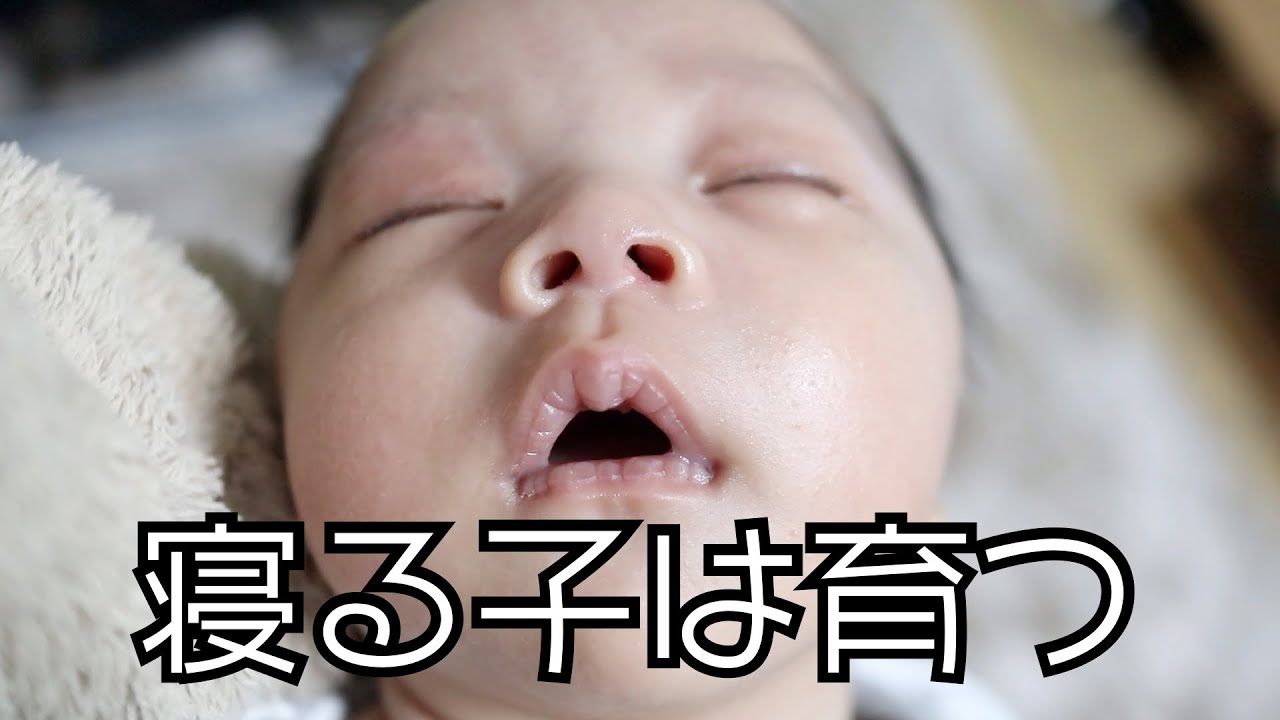 クリスマス準備 小物の入れ替え中に甘えたいコーギー よく寝る赤ちゃん Youtube