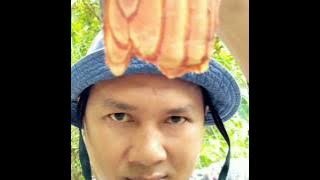 Bajakah borneo77 adventure