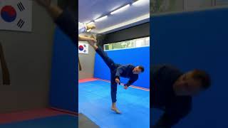 Taekwondo Best Kicks / Taekwondo Best Tricks