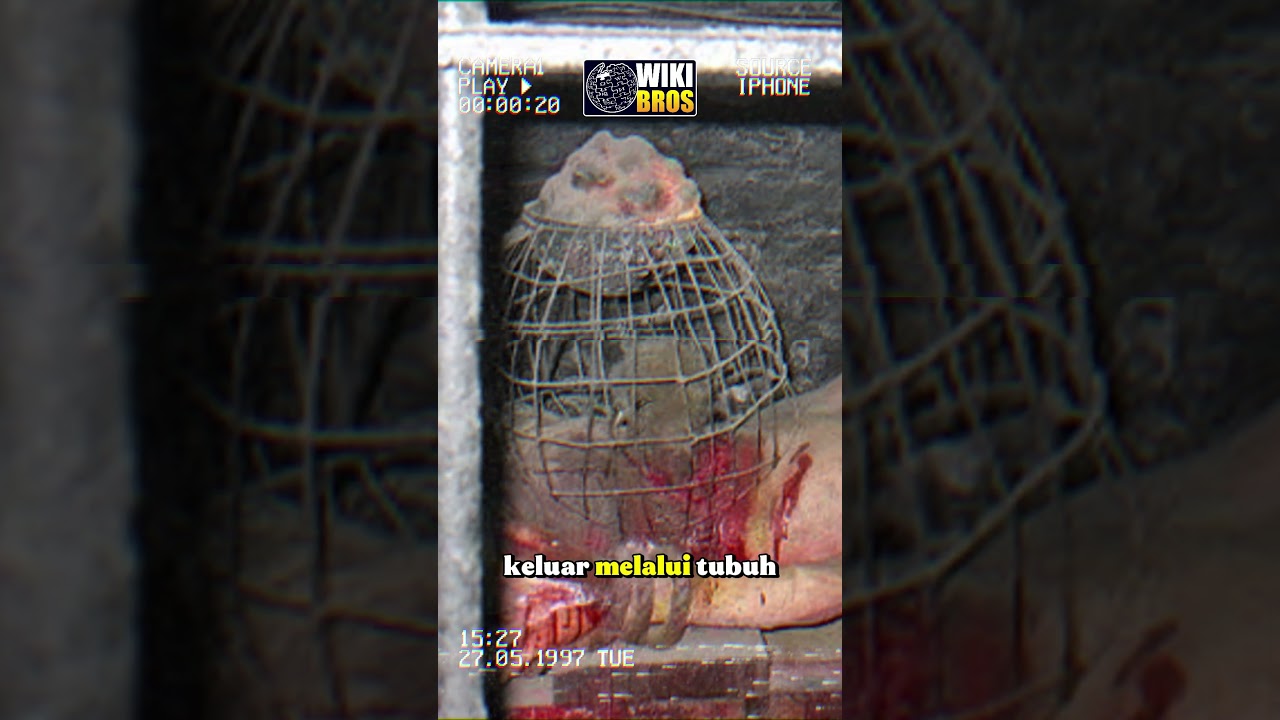 Penyiksaan Yang Mengubah Tikus Menjadi Algojo