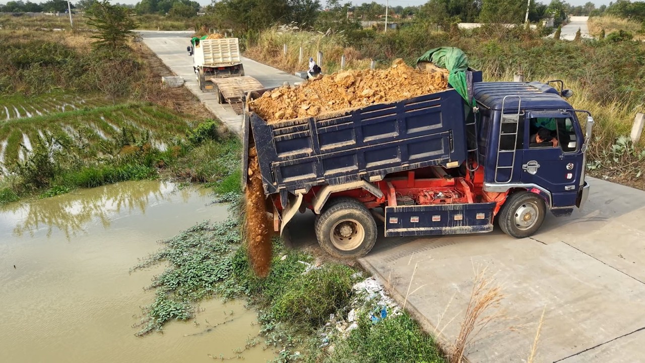 Perfectly Started New Project! Dump Truck Pouring Land Flood wild By Skillful Dozer D21 Pushing Soil