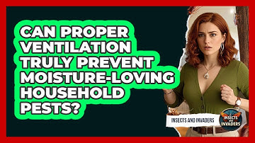 Can Proper Ventilation Truly Prevent Moisture-loving Household Pests? - Insects and Invaders