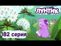 Лунтик и его друзья - 182 серия. Аромат