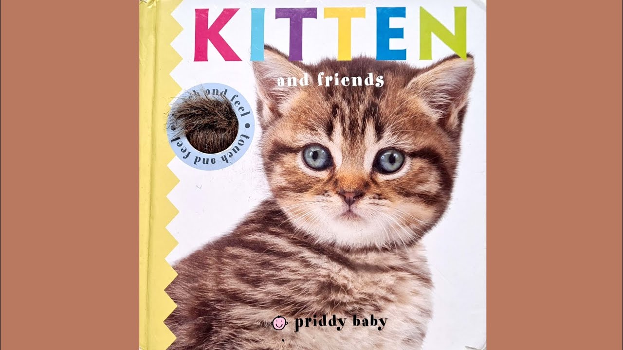 🐱Kitten🐱 and friends🐱Baby Book🐱Toddler Book🐱priddy baby