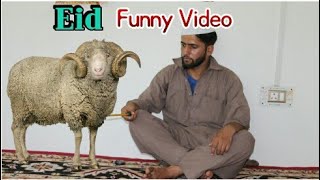 Eid Special | Funny Video