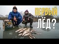 ПЕРВЫЙ ЛЕД!  Зимняя рыбалка на жерлицы и мормышку. Ловля щуки, окуня и плотвы.