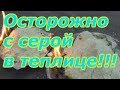 ОБРАБОТКА ТЕПЛИЦЫ СЕРОЙ - БУДЬТЕ ОСТОРОЖНЫ!