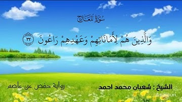 سورة المعارج : الشيخ شعبان محمد احمد