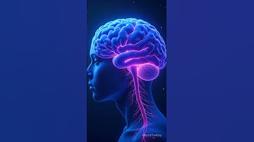 Unlock Growth: The Power of Habit Stacking