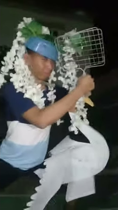 Story wa tergokil mas cepuk ndadilah mast'