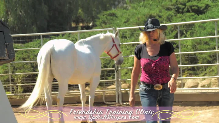 Friendship Training (TM) with Nancy Nunke