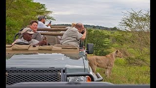 Yaban Hayatı Fotoğrafçılarının Güney Afrikadaki Tehlikeli Yolculuğu