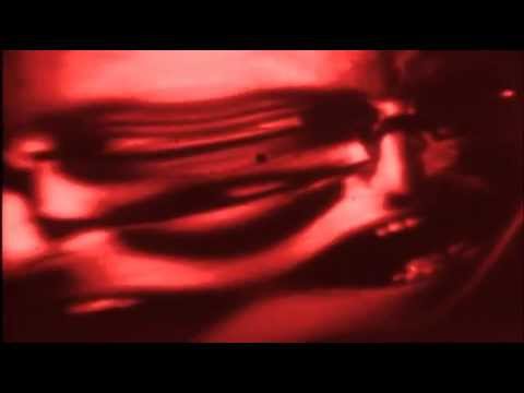 კუდაბზიკეთი